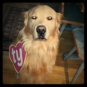 VALENTINES DAY SALE!